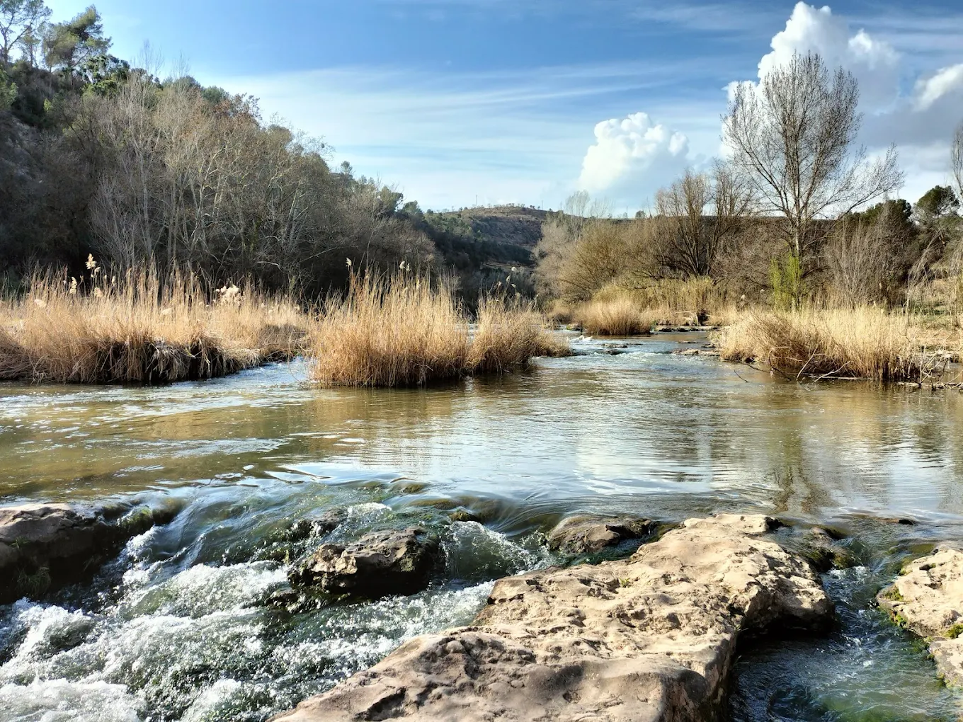 Els Tres Salts del Llobregat - Foto 3