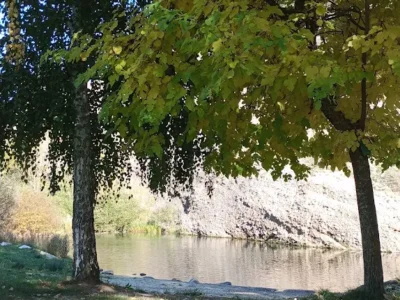 La Vecilla