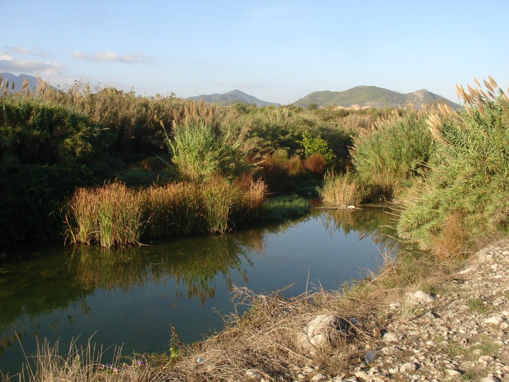 Piscinas Naturales del Río Serpis - Foto 4