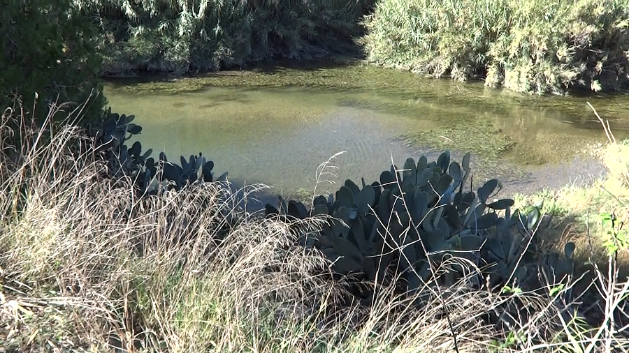 Piscinas Naturales del Río Serpis - Foto 6