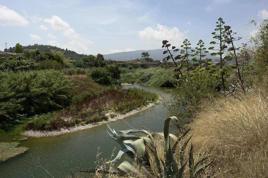 Piscinas Naturales del Río Serpis - Foto 3