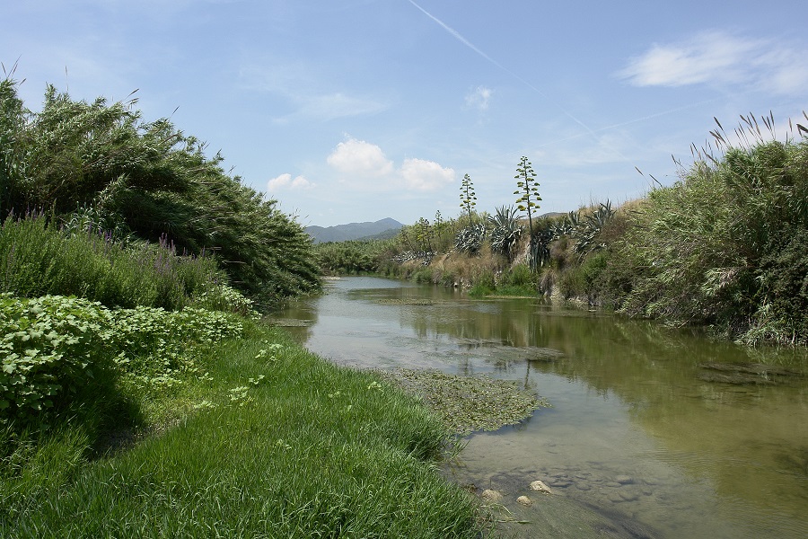 Piscinas Naturales del Río Serpis - Foto 2