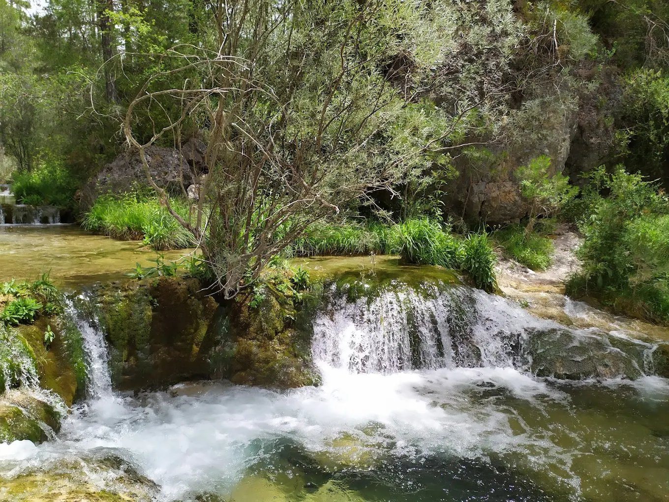Playa fluvial Río Escabas – Lagunillos y Tejadillos - Foto 2