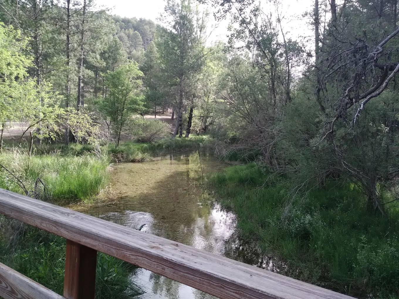 Playa fluvial Río Escabas – Lagunillos y Tejadillos - Foto 4