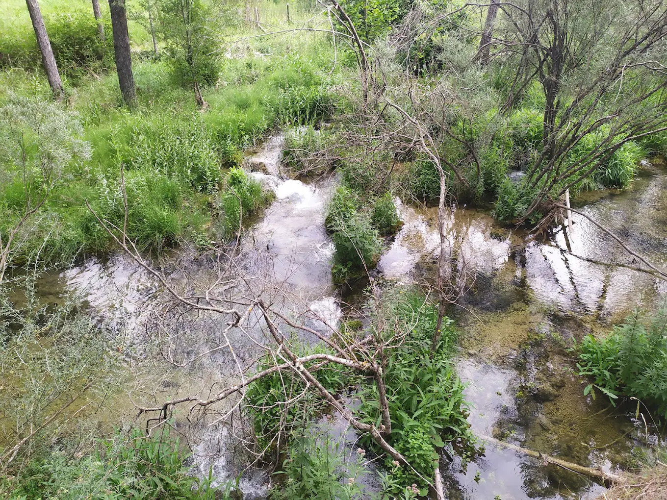 Playa fluvial Río Escabas – Lagunillos y Tejadillos - Foto 7