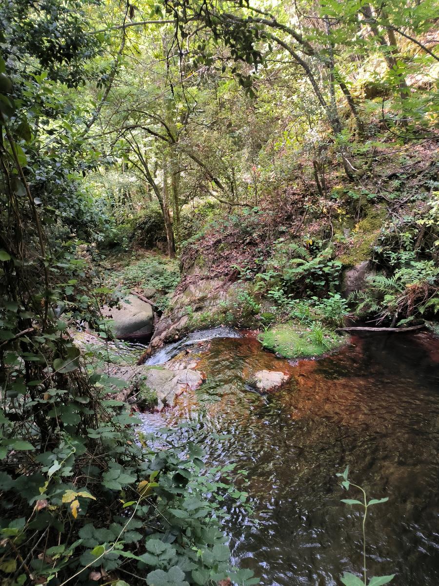 Riera de Riells - Foto 6
