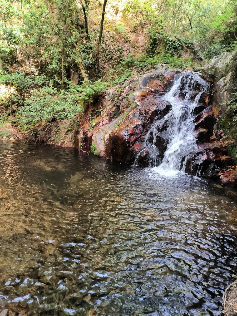 Riera de Riells - Foto 7