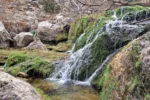 Las mejores playas fluviales de Andalucía: naturaleza, agua dulce y tranquilidad