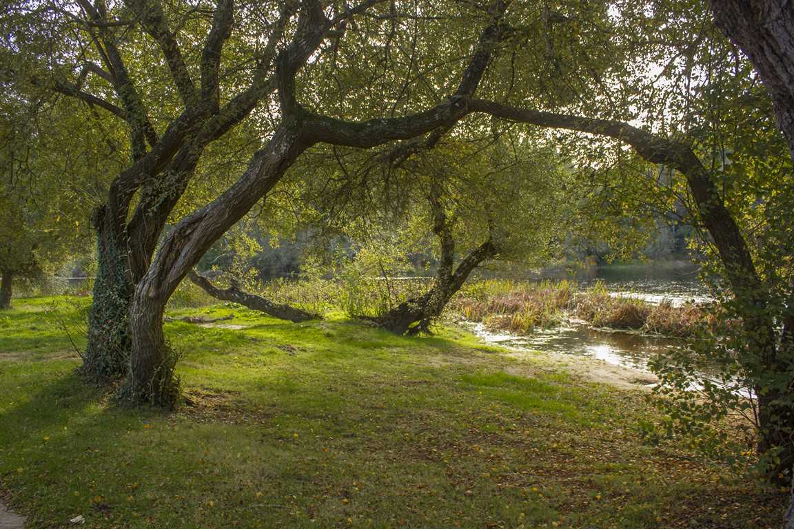 Campo de Santa Isabel
